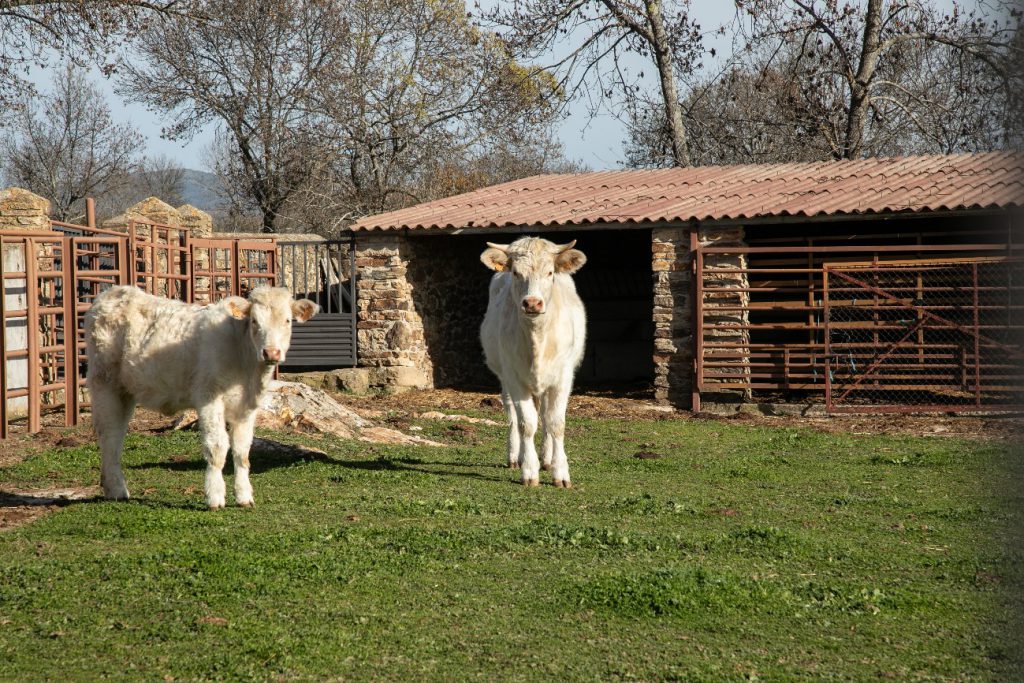 RECOMENDACIONES PARA UN TURISMO RESPONSABLE QUE CUIDE NUESTRO PATRIMONIO NATURAL E HISTÓRICO